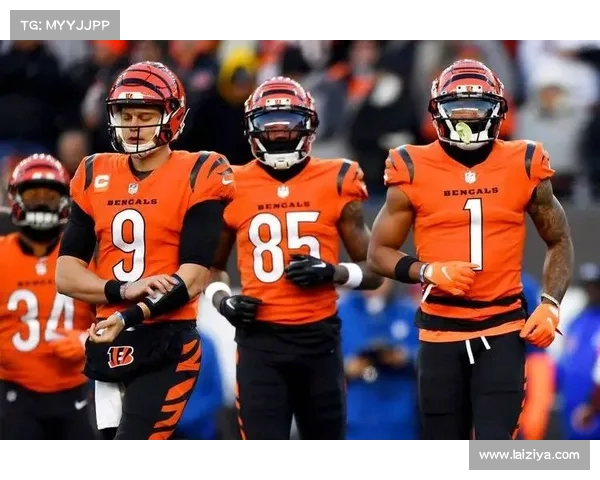 猛虎大外接暂时留守，签下一年标签合同应对球队需求