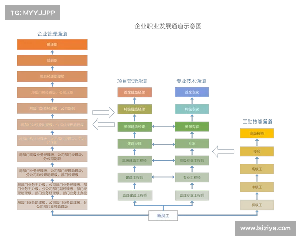 雷迪克与斯科特-布鲁克斯合作：名记解析如何优化其职业发展